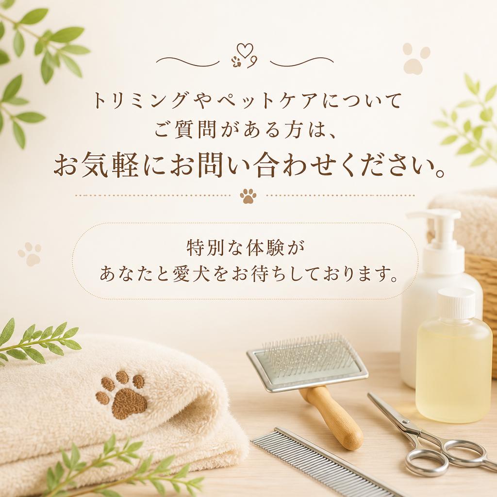 今すぐお問い合わせを！