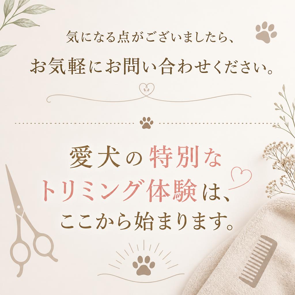7. お問い合わせ・予約