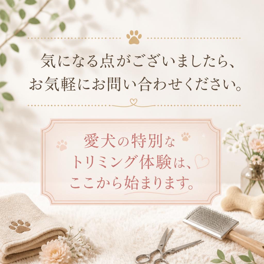 7. お問い合わせ・予約