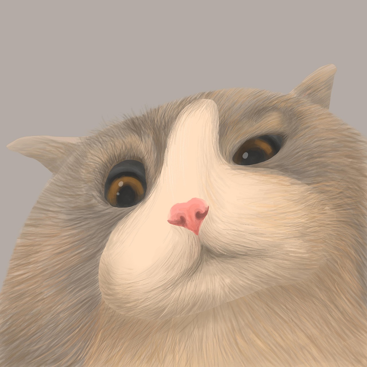 猫のための特別な設備