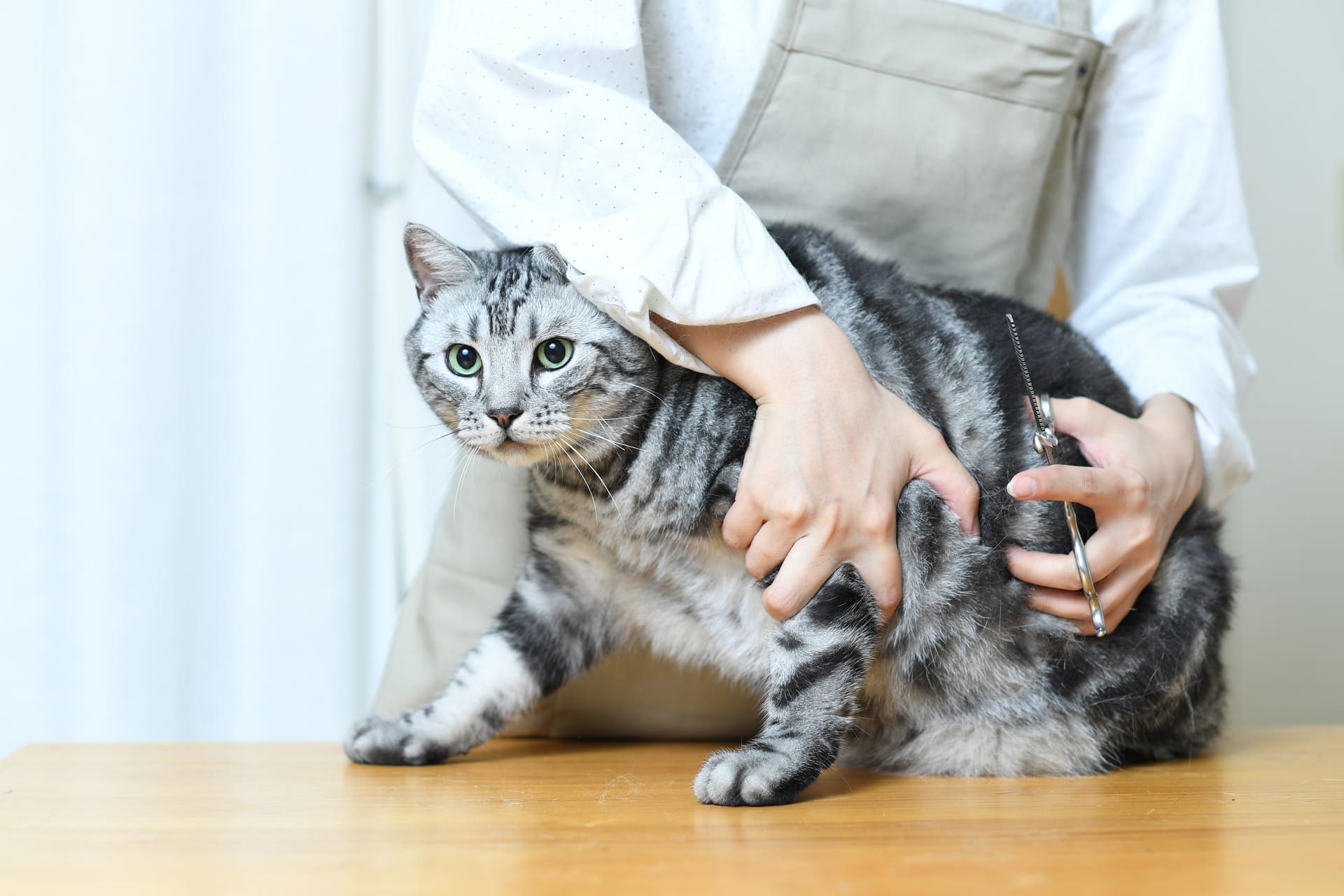 ペットファーストでトリミングします