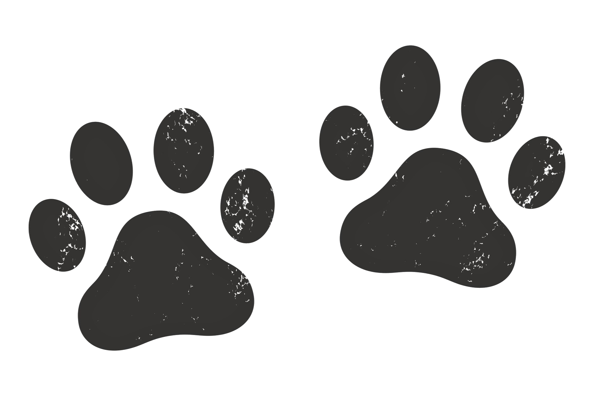 stamp-texture-paw-prints