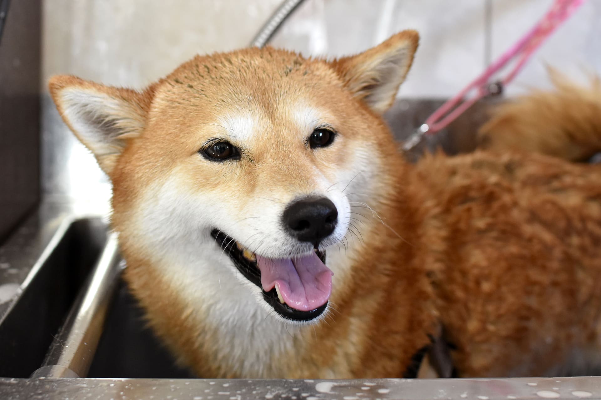 越谷