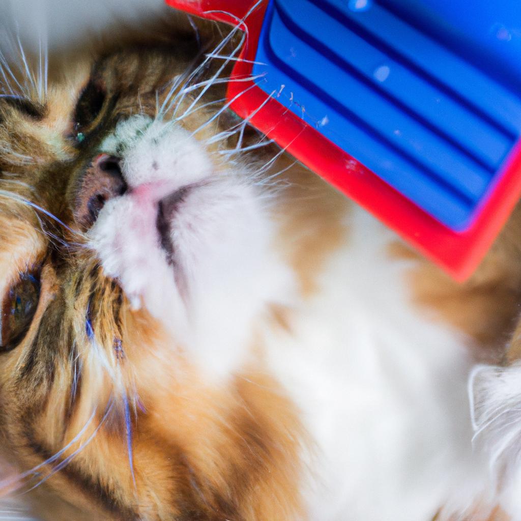 当サロンの猫専用設備