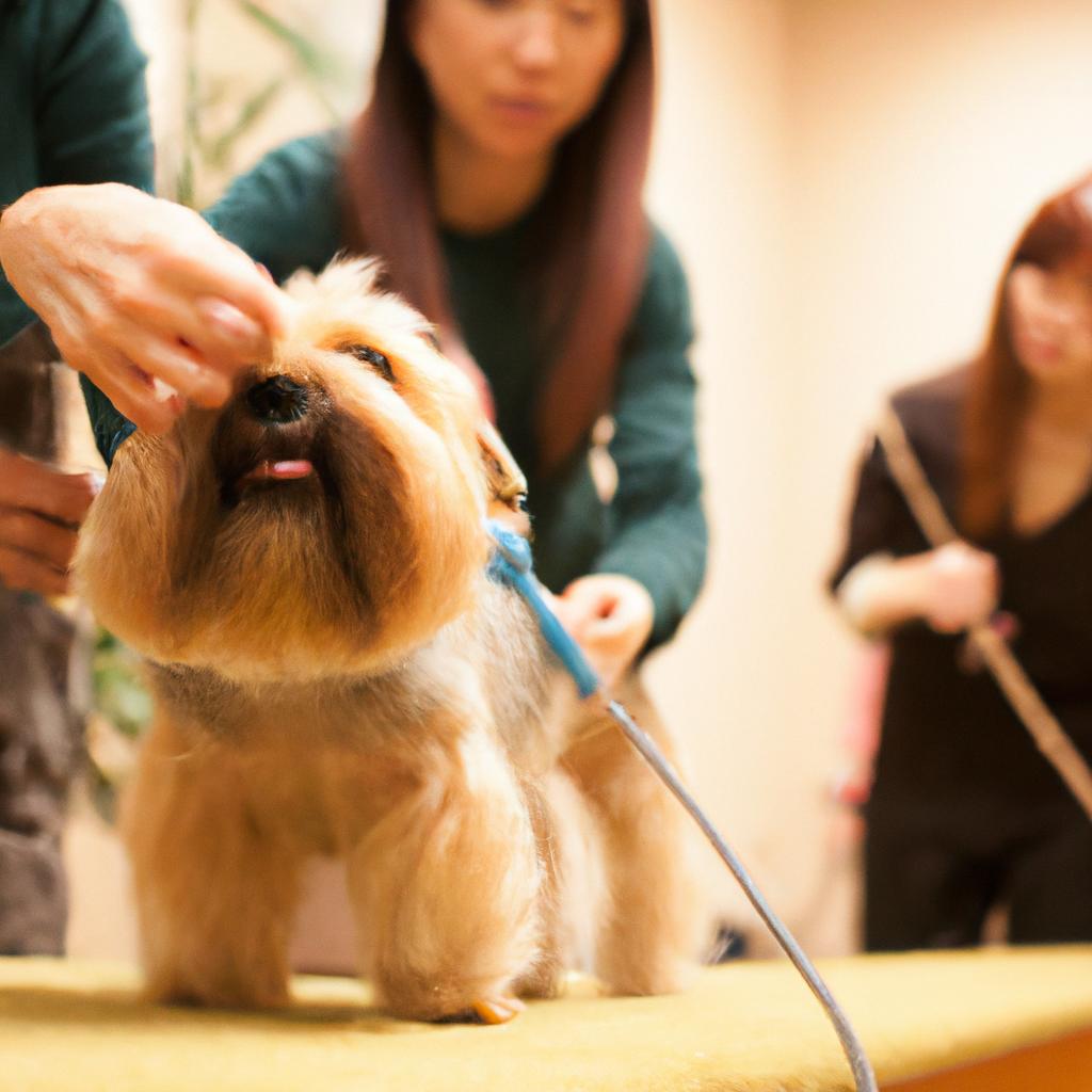 越谷のトリミングサロンで、愛犬・愛猫との最高の時間を！