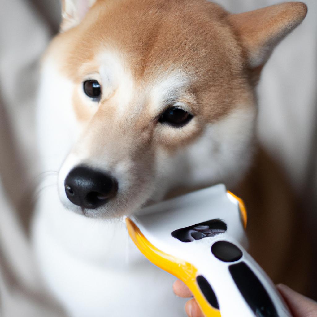 柴犬専用の手厚いトリミングで、健康で美しい毛並みを保ちましょう！