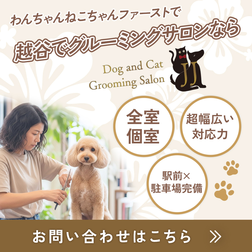 popup_banner